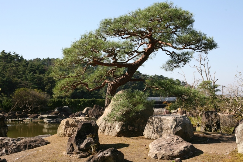 醫院庭園にて